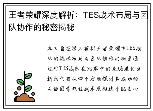 王者荣耀深度解析：TES战术布局与团队协作的秘密揭秘